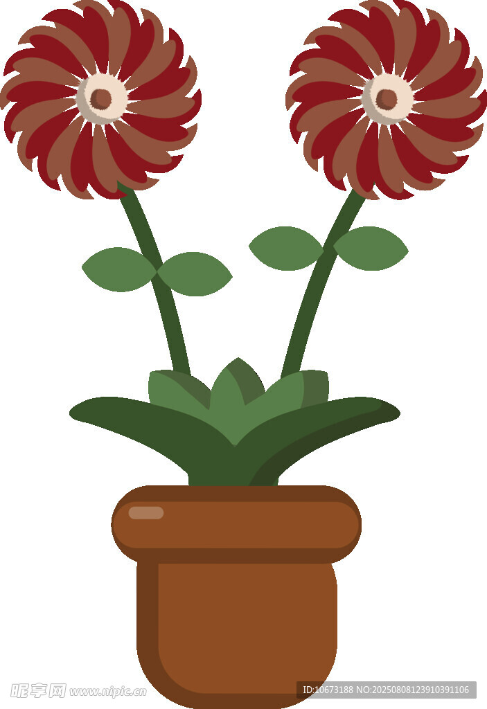 盆栽雙花