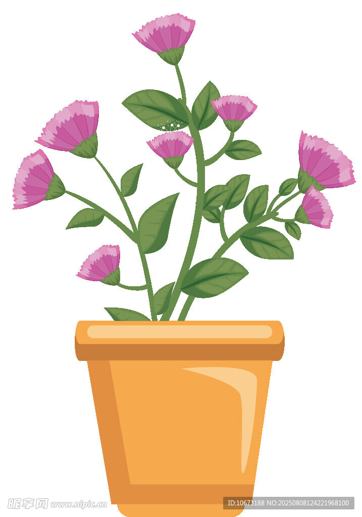 花盆中的紫色花卉