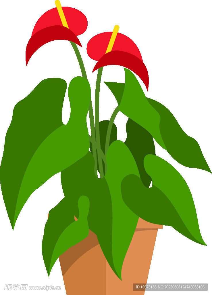 盆栽紅掌植物插畫