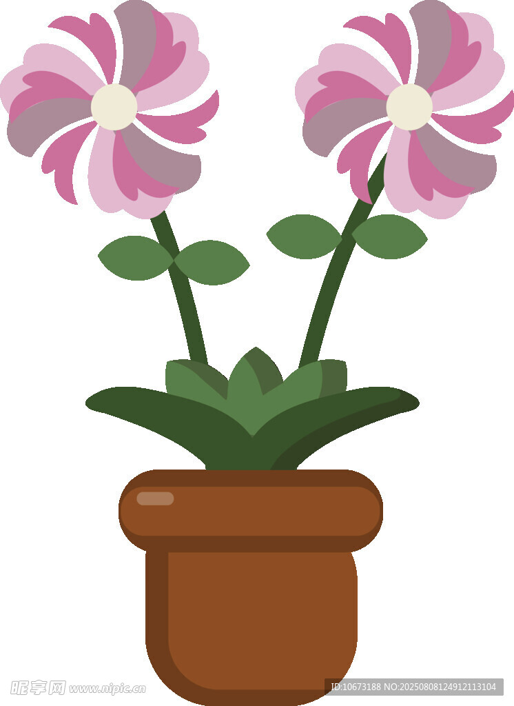 盆栽雙色花