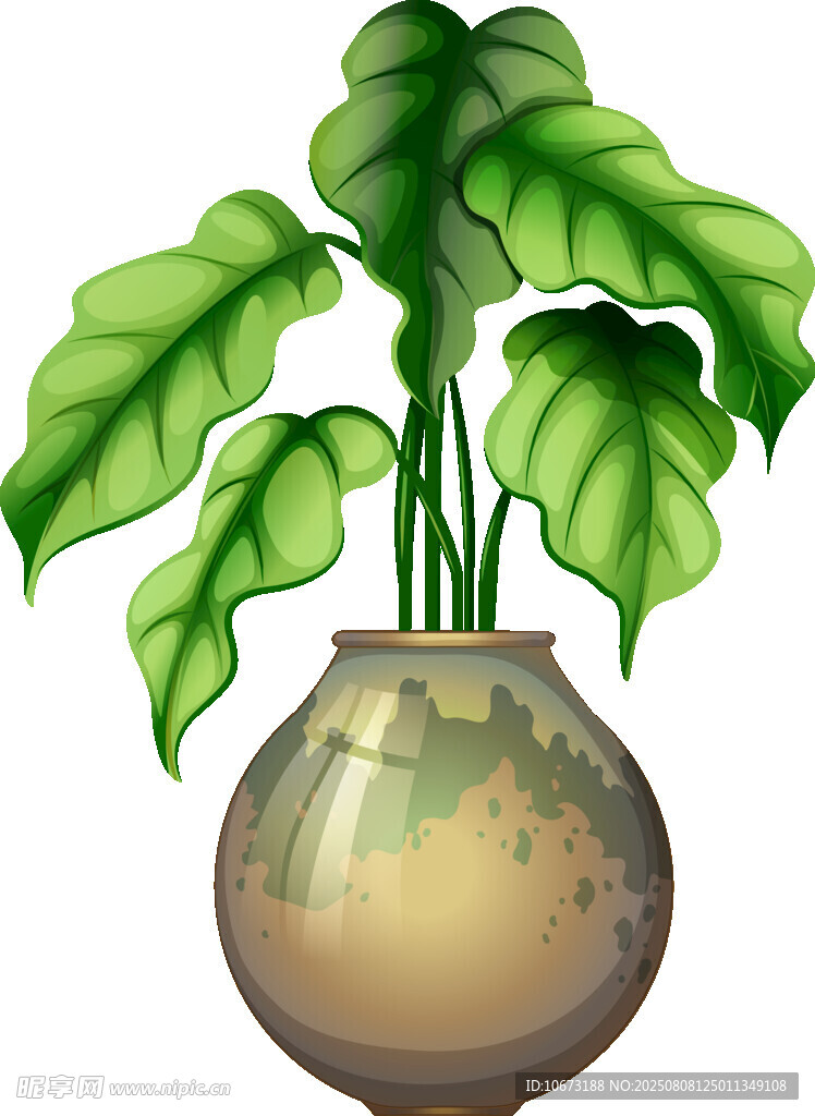 玻璃花瓶中的綠植