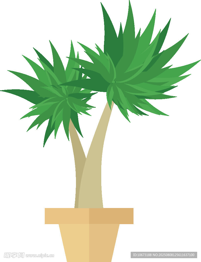 盆栽綠植
