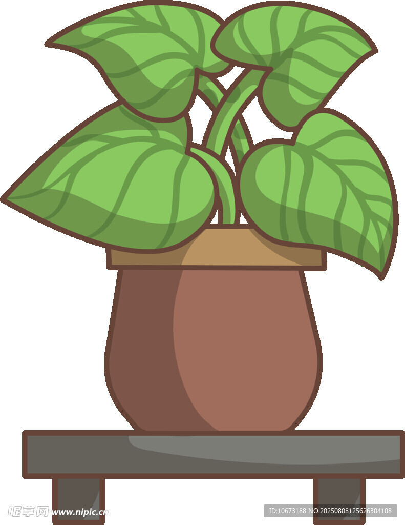 桌上綠植盆栽