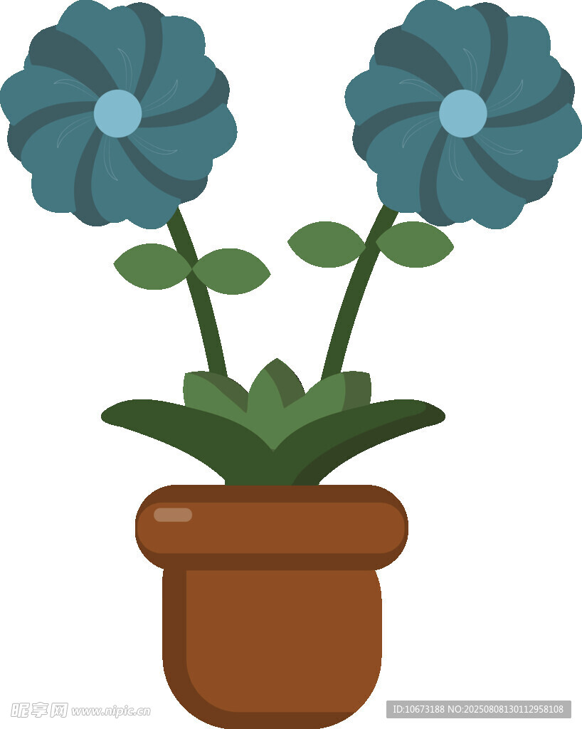 盆栽藍(lán)花