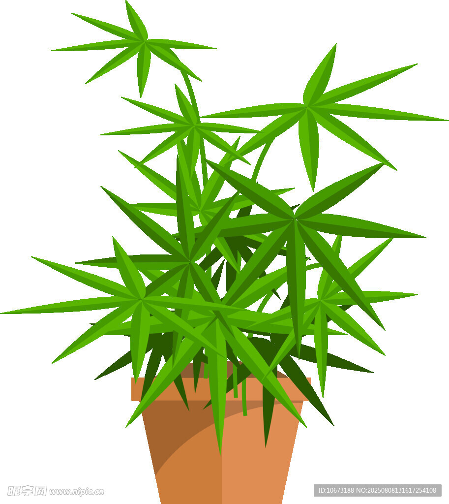 盆栽翠竹