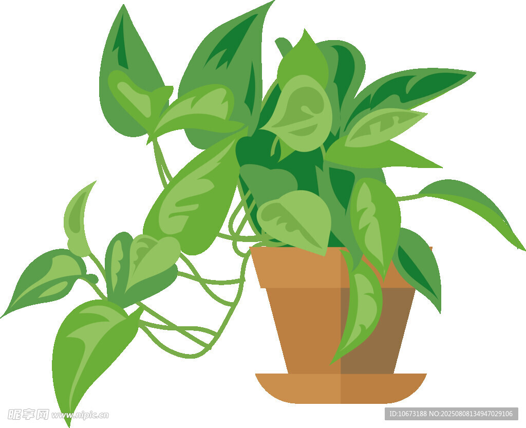 盆栽綠植清新自然之美