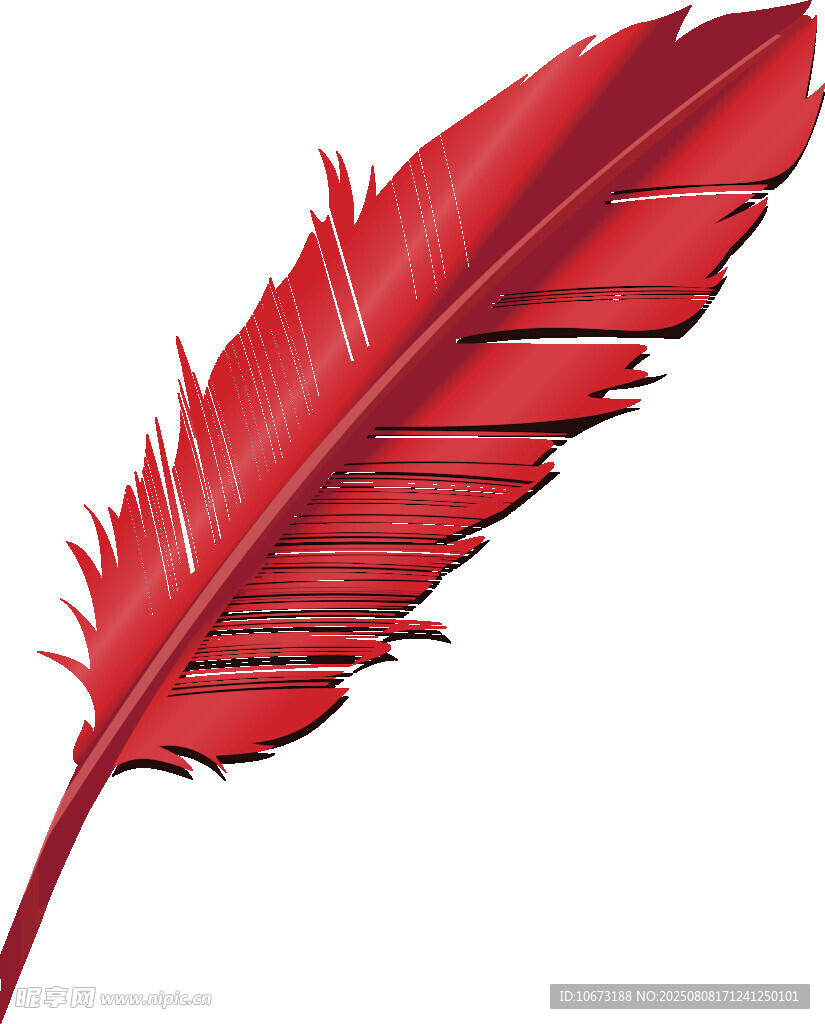 紅色羽毛插畫(huà)