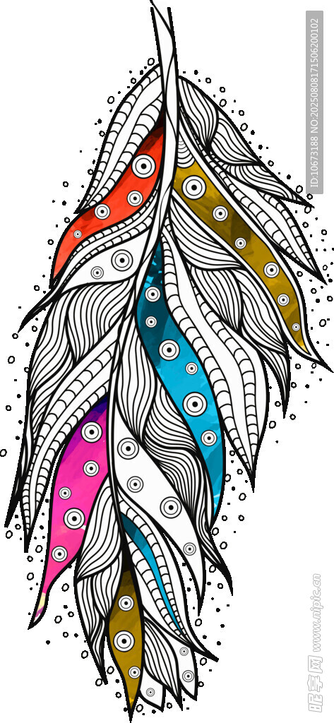 彩色羽毛插畫