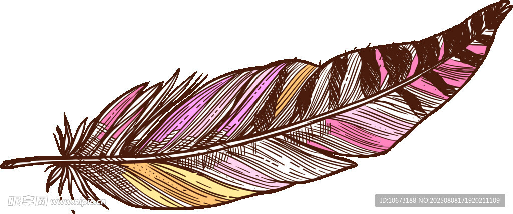 彩色花紋羽毛插畫