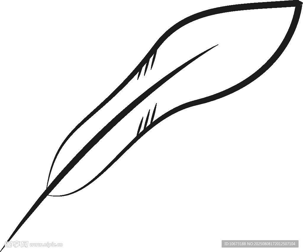 簡(jiǎn)約線條羽毛插畫