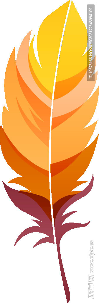 絢麗多彩的羽毛圖案