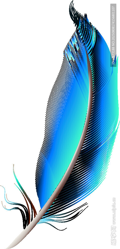 絢麗藍(lán)羽