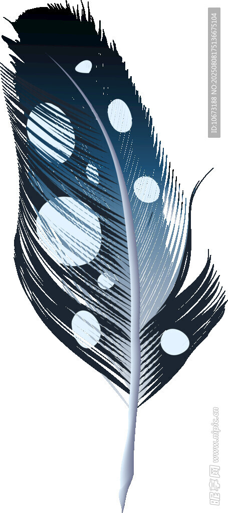 夢幻藍白羽毛插畫