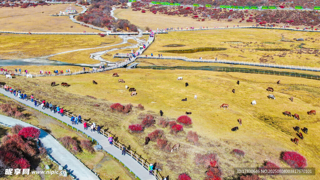 秋日田野蜿蜒公路美景