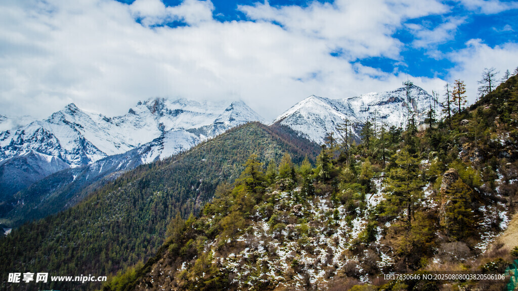 壯麗雪山山林美景