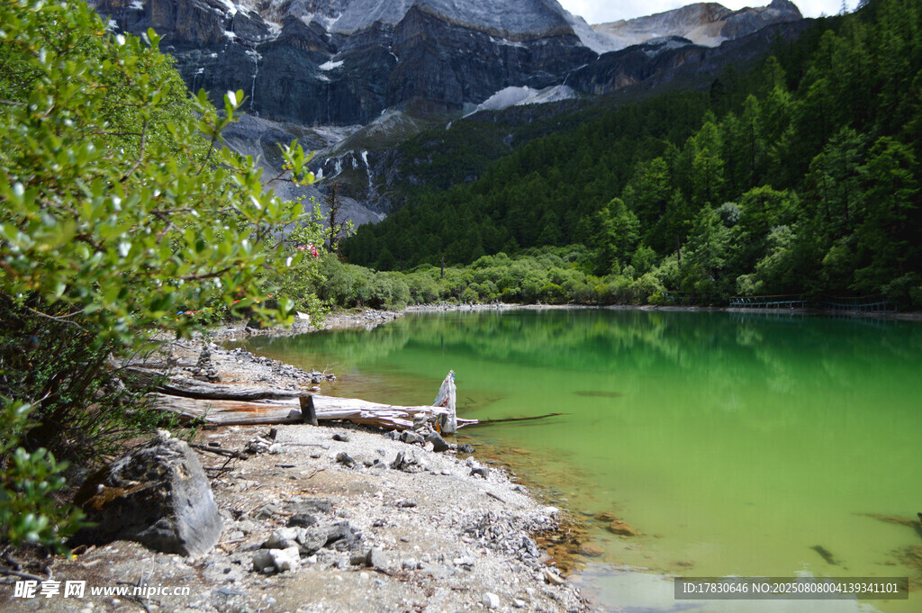 山間翠綠湖泊美景