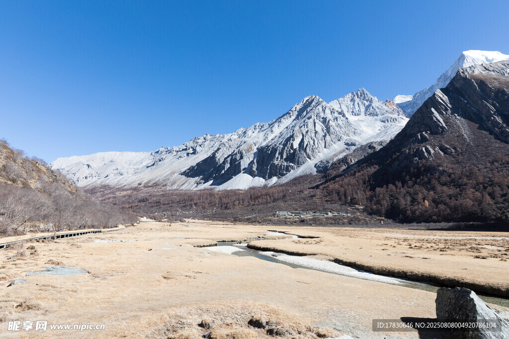 雪山下的開(kāi)闊河谷風(fēng)光