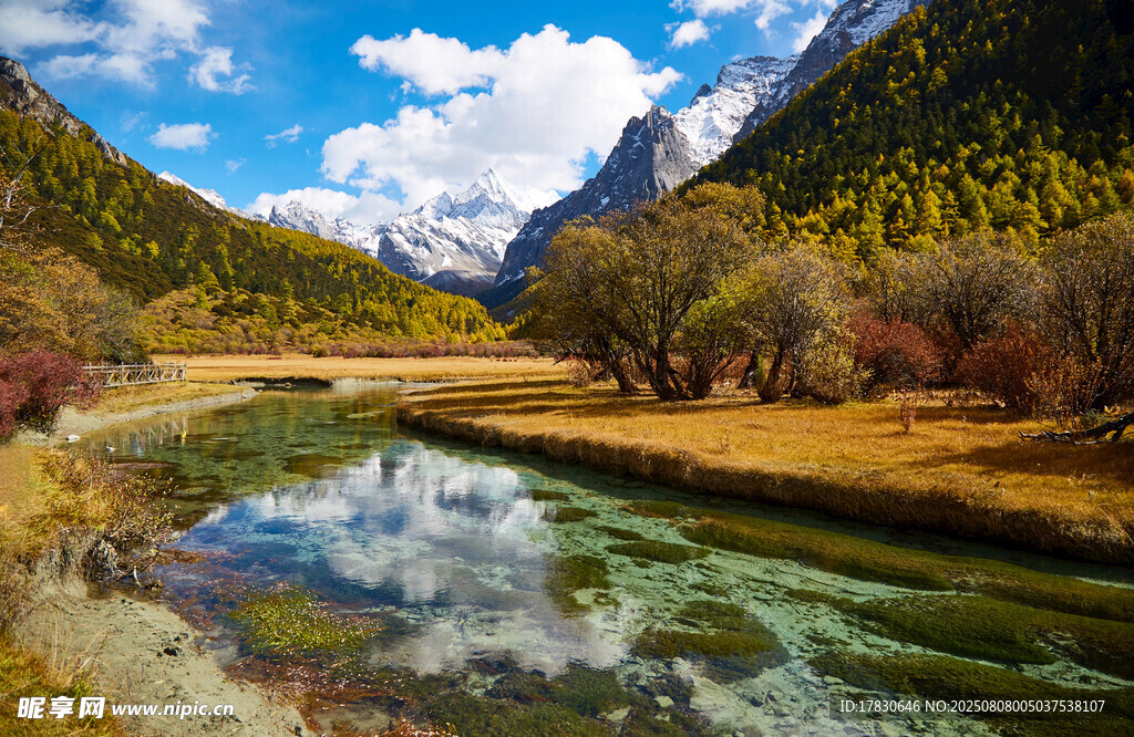 山間溪流旁的壯麗秋景