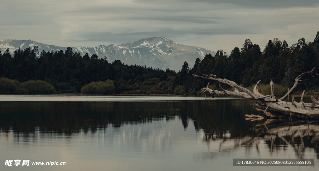 寧?kù)o湖畔的自然風(fēng)景