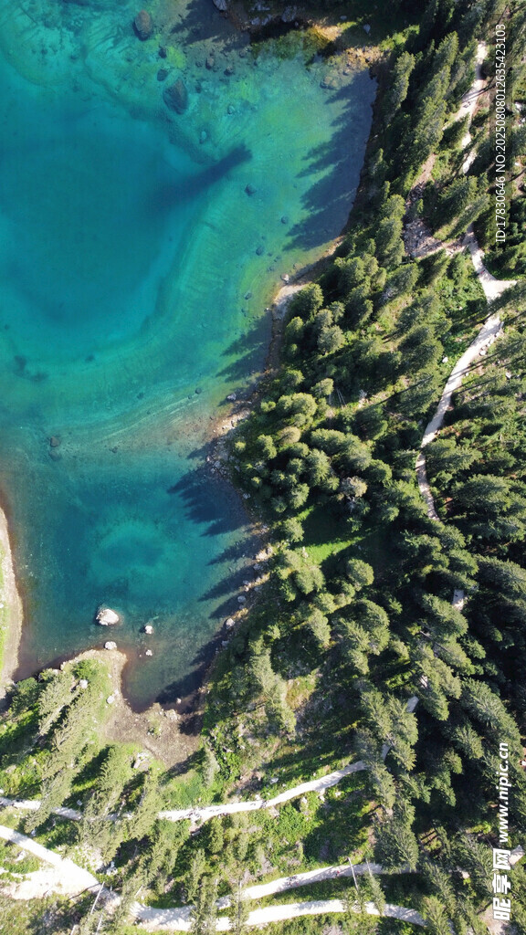高山森林間的澄澈藍湖