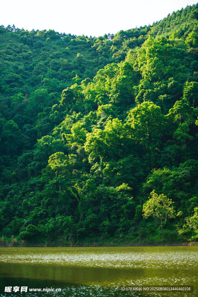 青山綠水間的自然美景