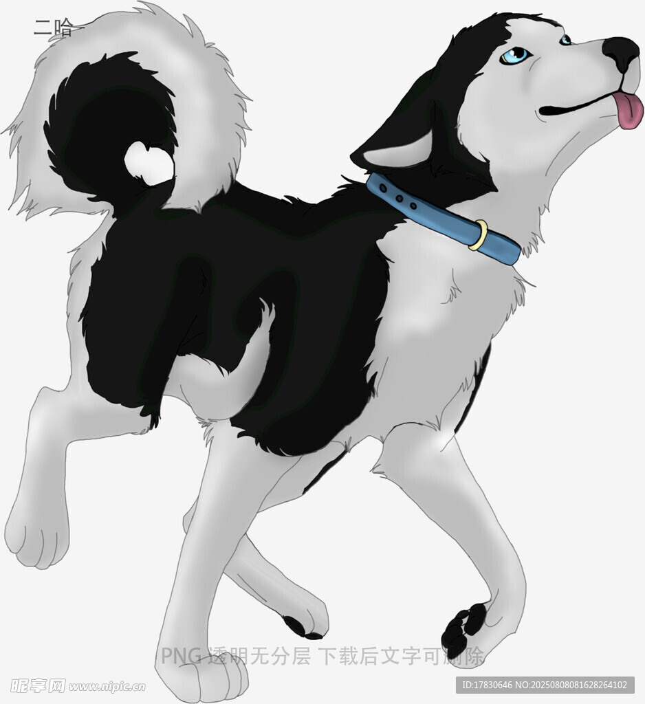 二哈