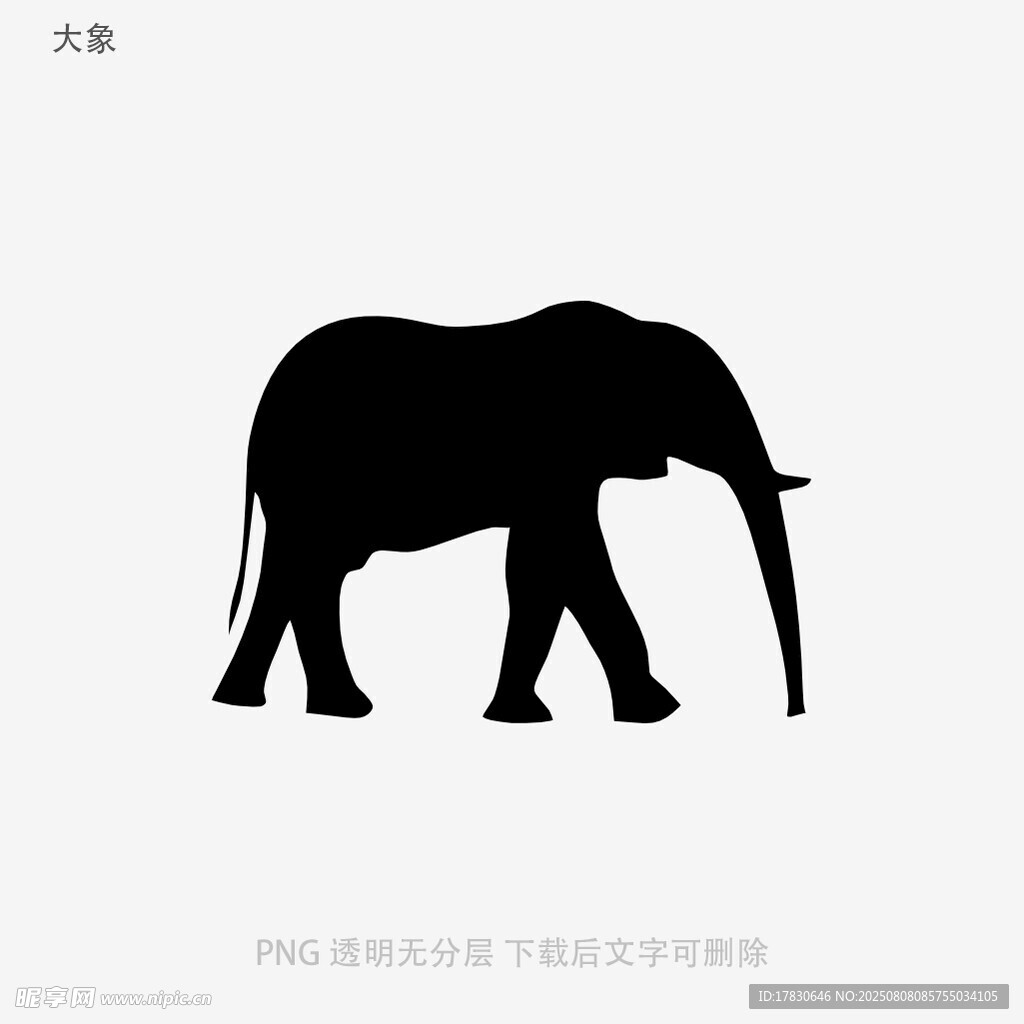 大象