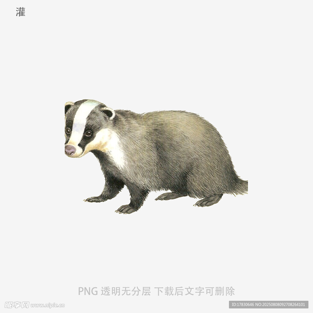 灌