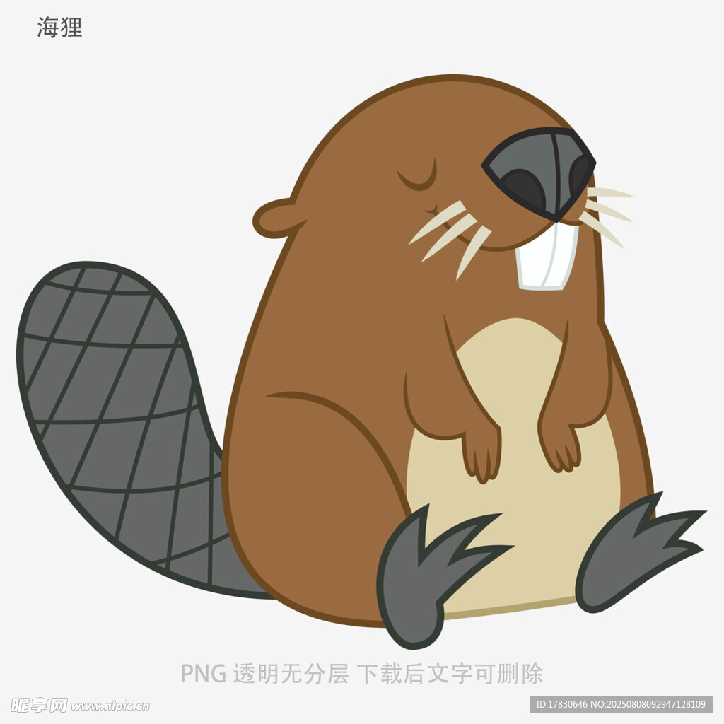 海貍