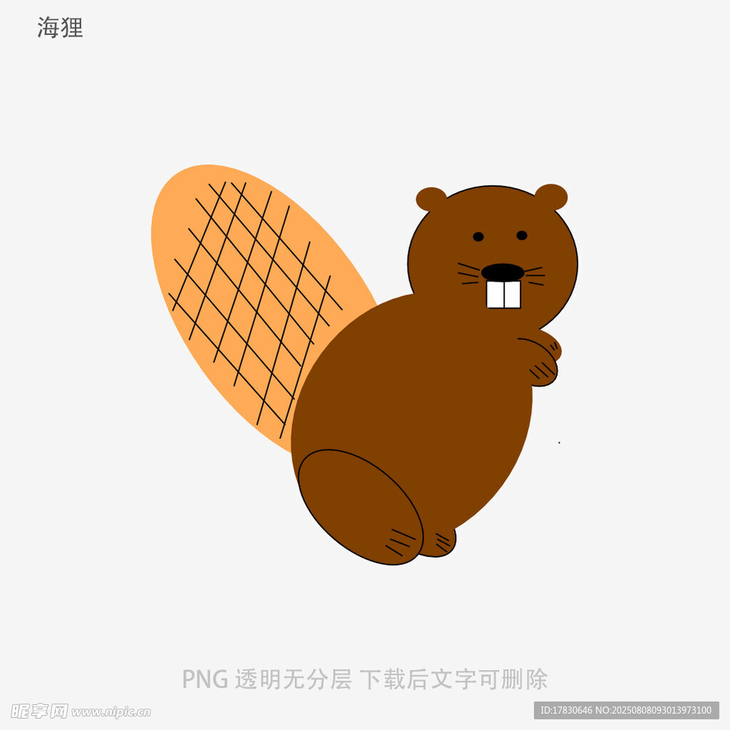 海貍