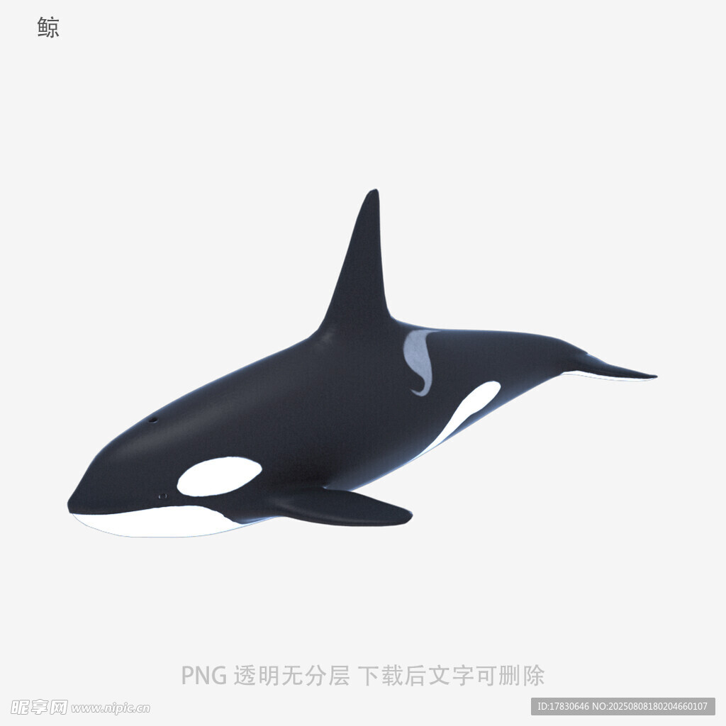 鯨