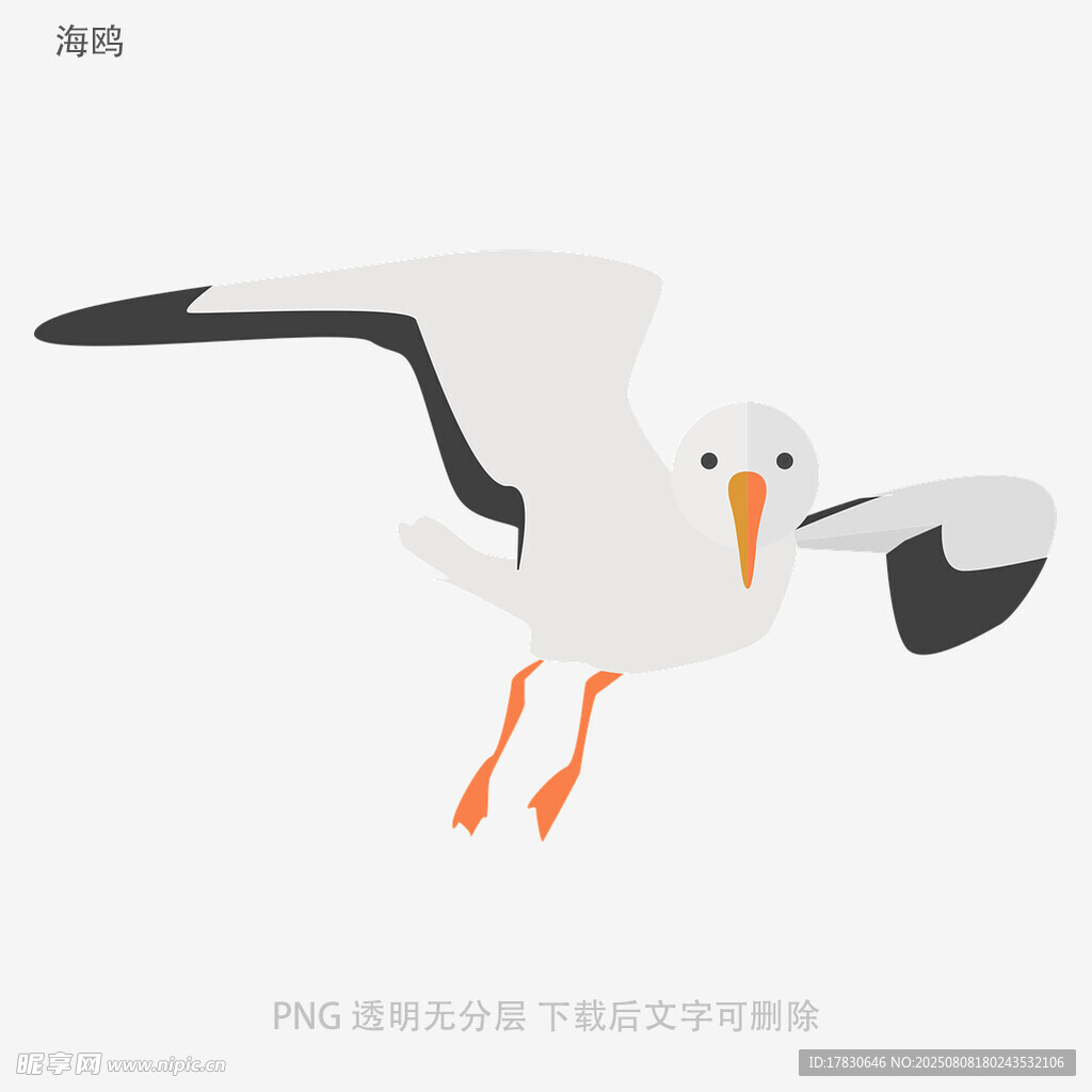 海鷗