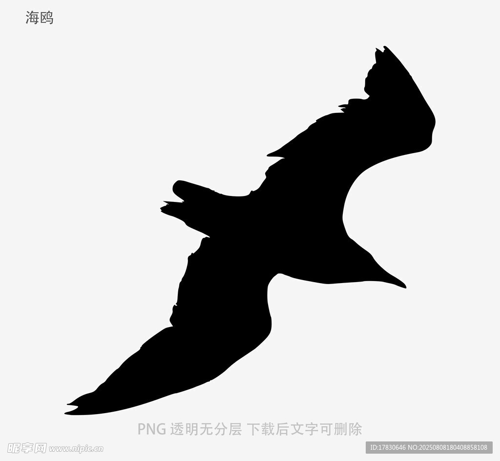 海鷗