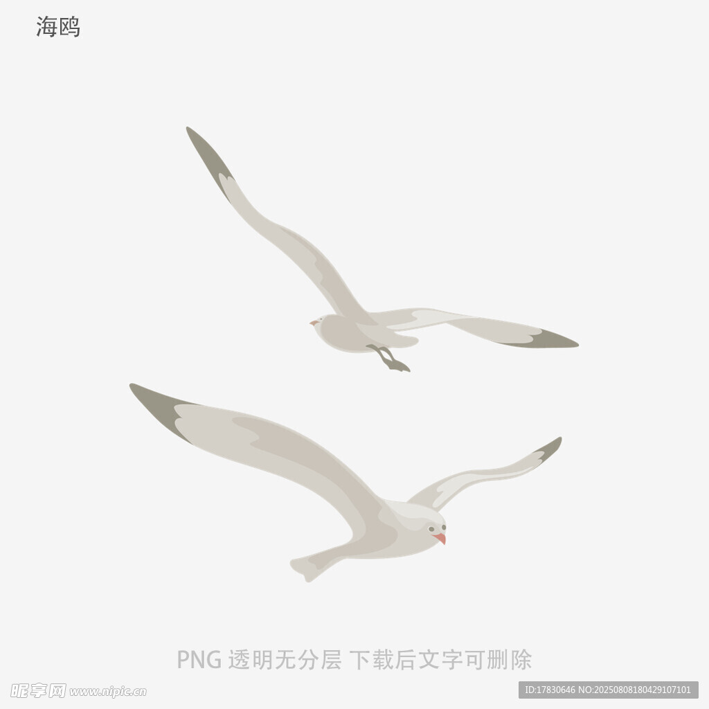 海鷗