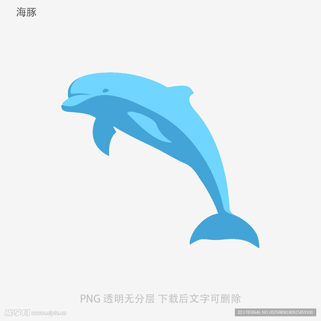 藍(lán)色海豚插畫
