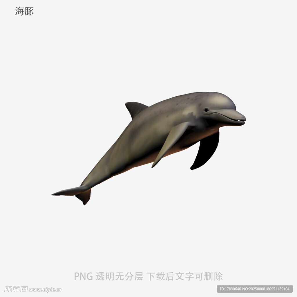 海豚