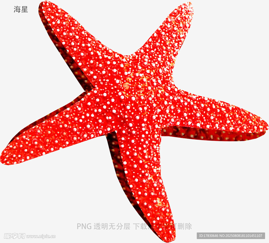 海星