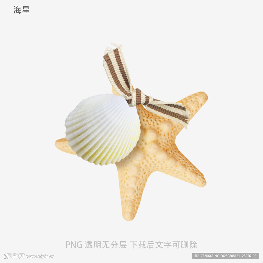 海星