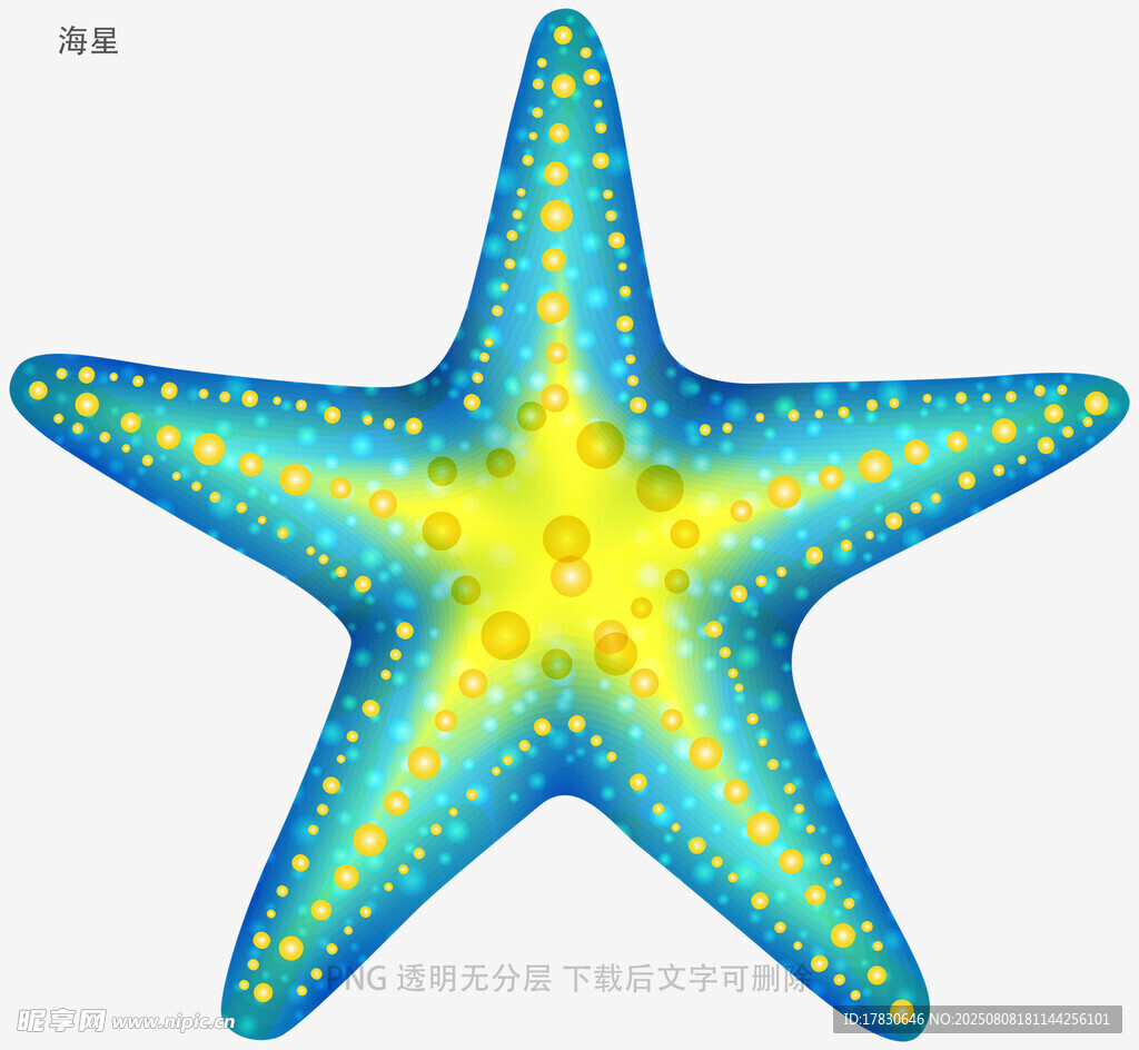 海星