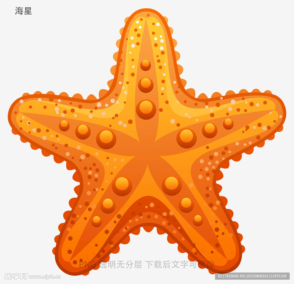 海星