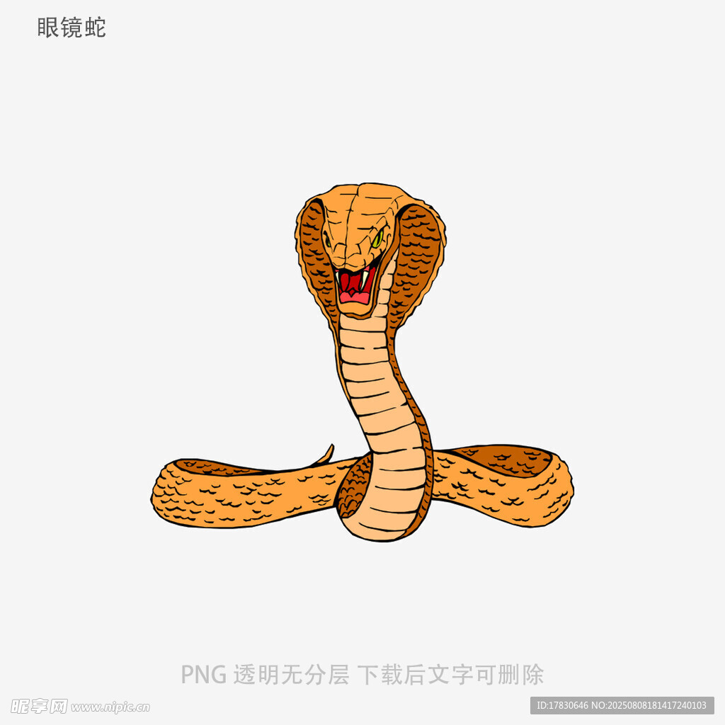 眼鏡蛇