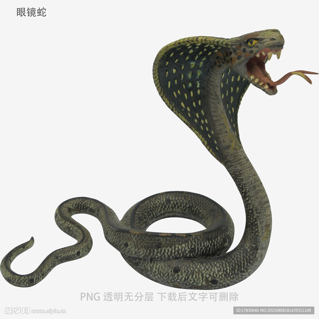 眼鏡蛇