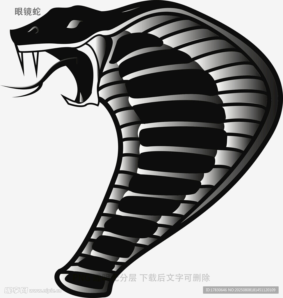 眼鏡蛇