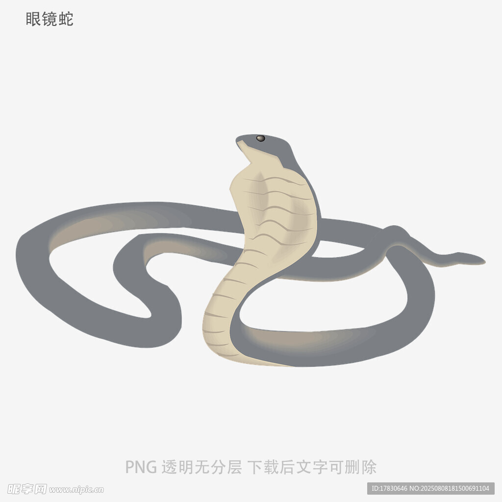 眼鏡蛇