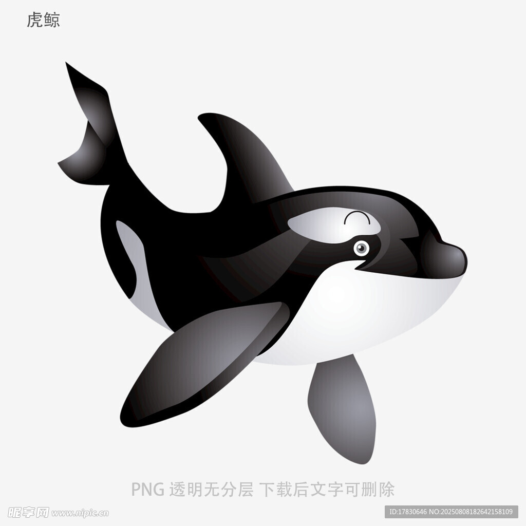 虎鯨
