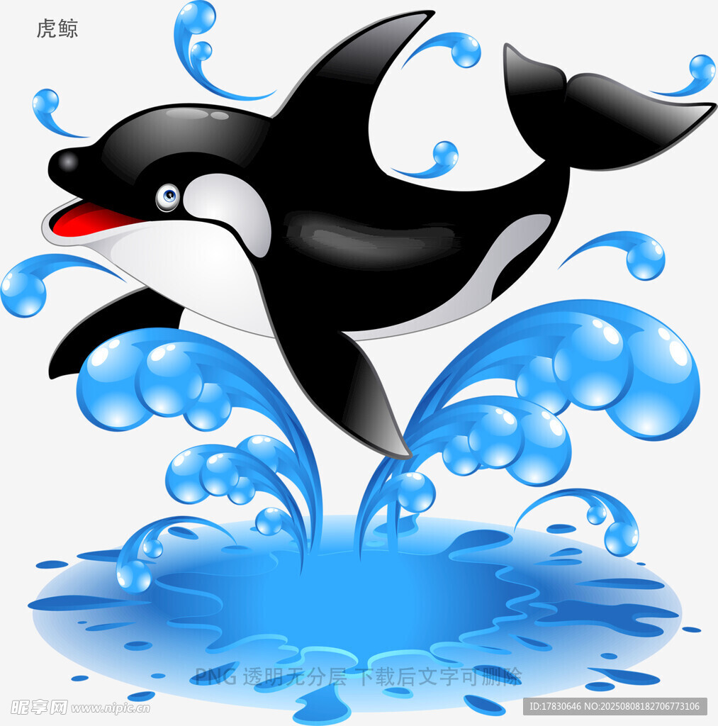 虎鯨