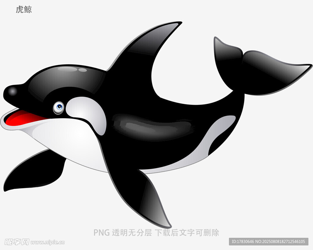 虎鯨