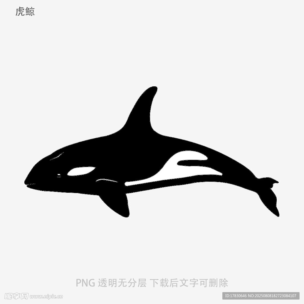 虎鯨