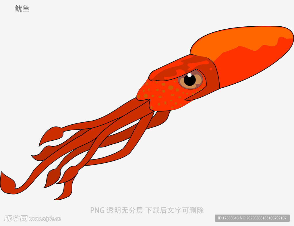 魷魚