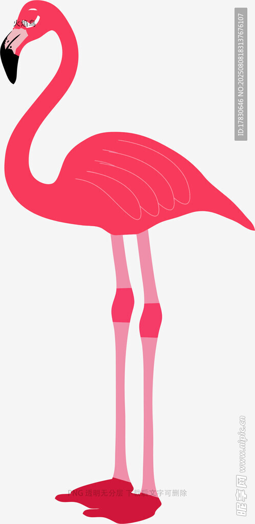 火焰鳥